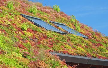 Stradbroke living roof systems