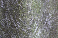 Stradbroke fibreglass roof work